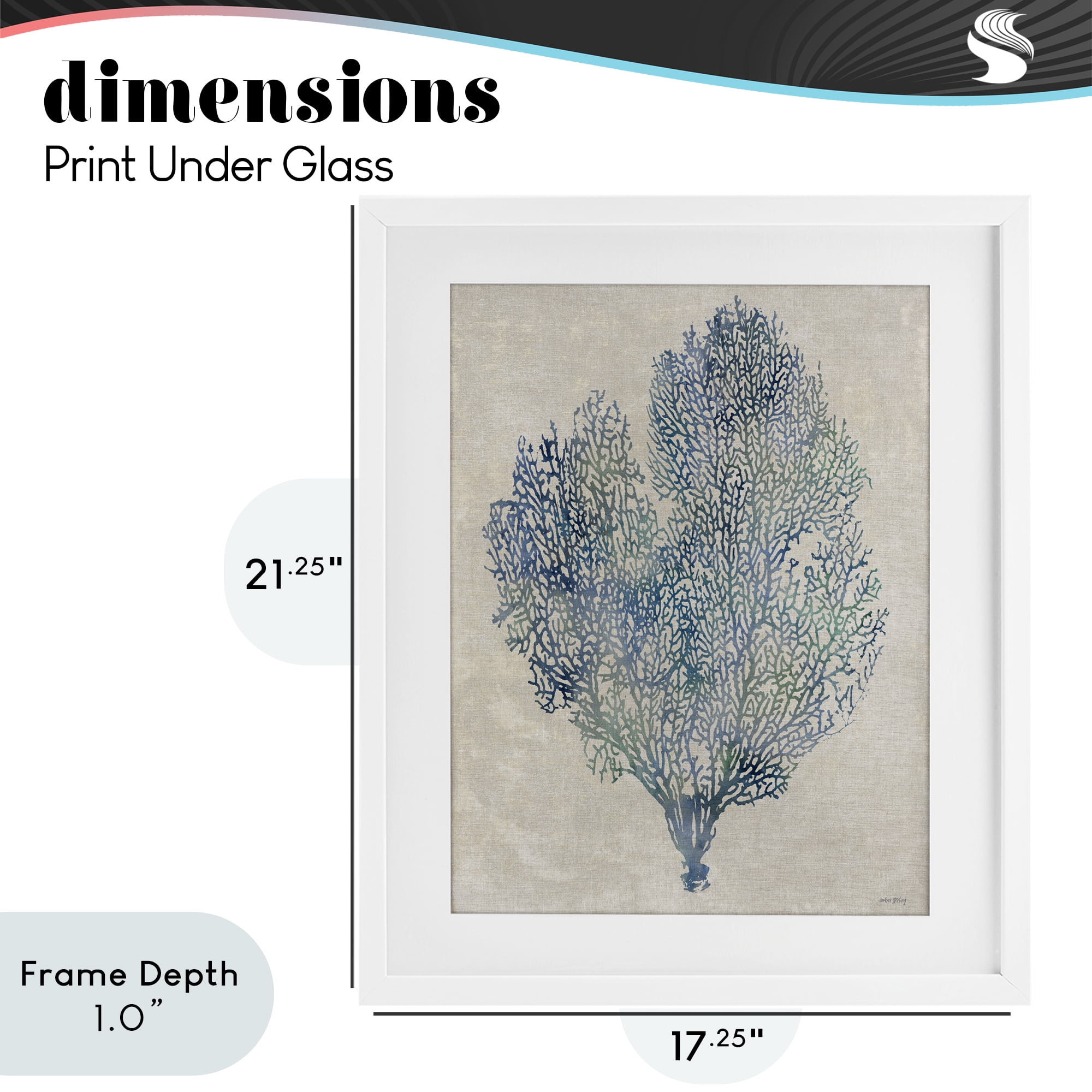 Stupell Industries Fan Coral in Blue & Green White Framed Print Under Glass, design by Amber Sterling