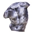 thumbnail image 1 of Estatua de torso masculino, figura escultórica, adorno de mesa para sala de estar. Pulido, 1 of 8