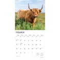 thumbnail image 3 of Highland Cows | 2026 12x24" (Hanging) Square Wall Calendar | Plastic-Free, 3 of 9