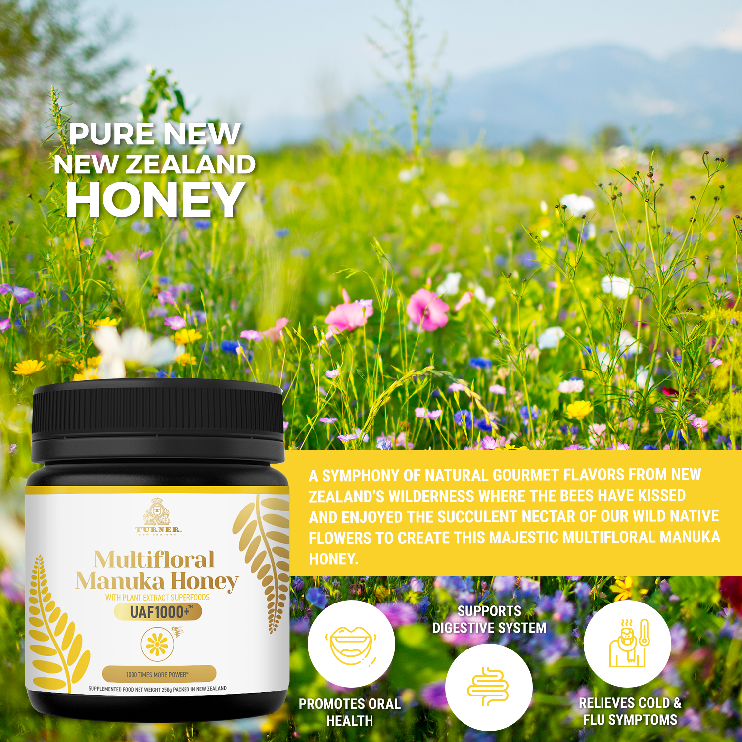 TURNER Multifloral Manuka Honey New Zealand, Organic UAF1000+, Anti-Inflammatory and Natural Antioxidants, 1 Jar, 8.8oz/250g