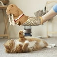 thumbnail image 5 of Cat Puppet Wrestler Glove with Tough Padding Boredom Busting Safe Interactive Play Teaser Bell Training Exercise, 5 of 9