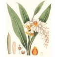 thumbnail image 3 of Smith, George 15x18 Black Modern Framed Museum Art Print Titled - Soft Tropical I, 3 of 5