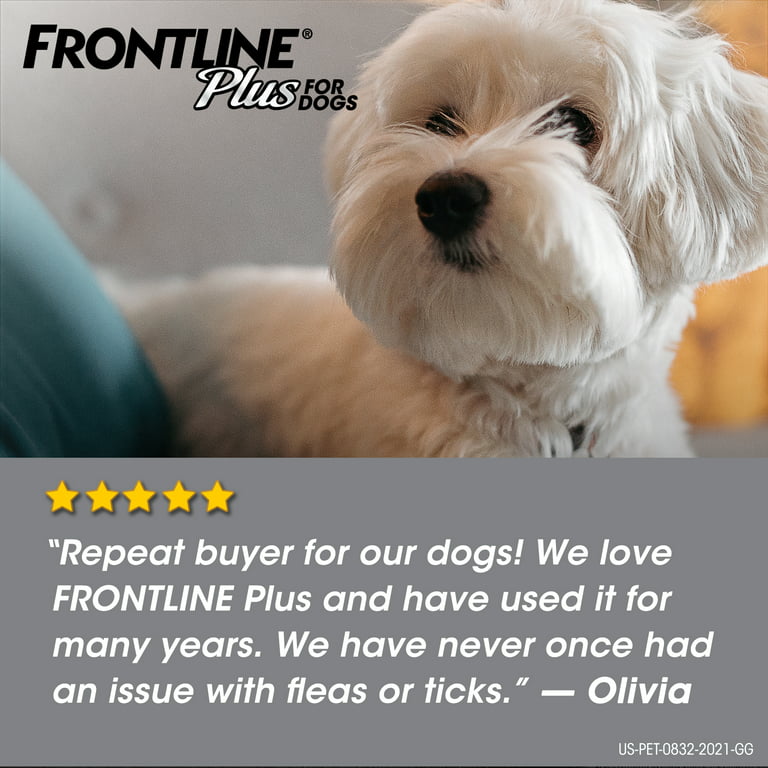 Frontline® GOLD for Dogs 23-44 lbs - BLUE (12 MONTH)