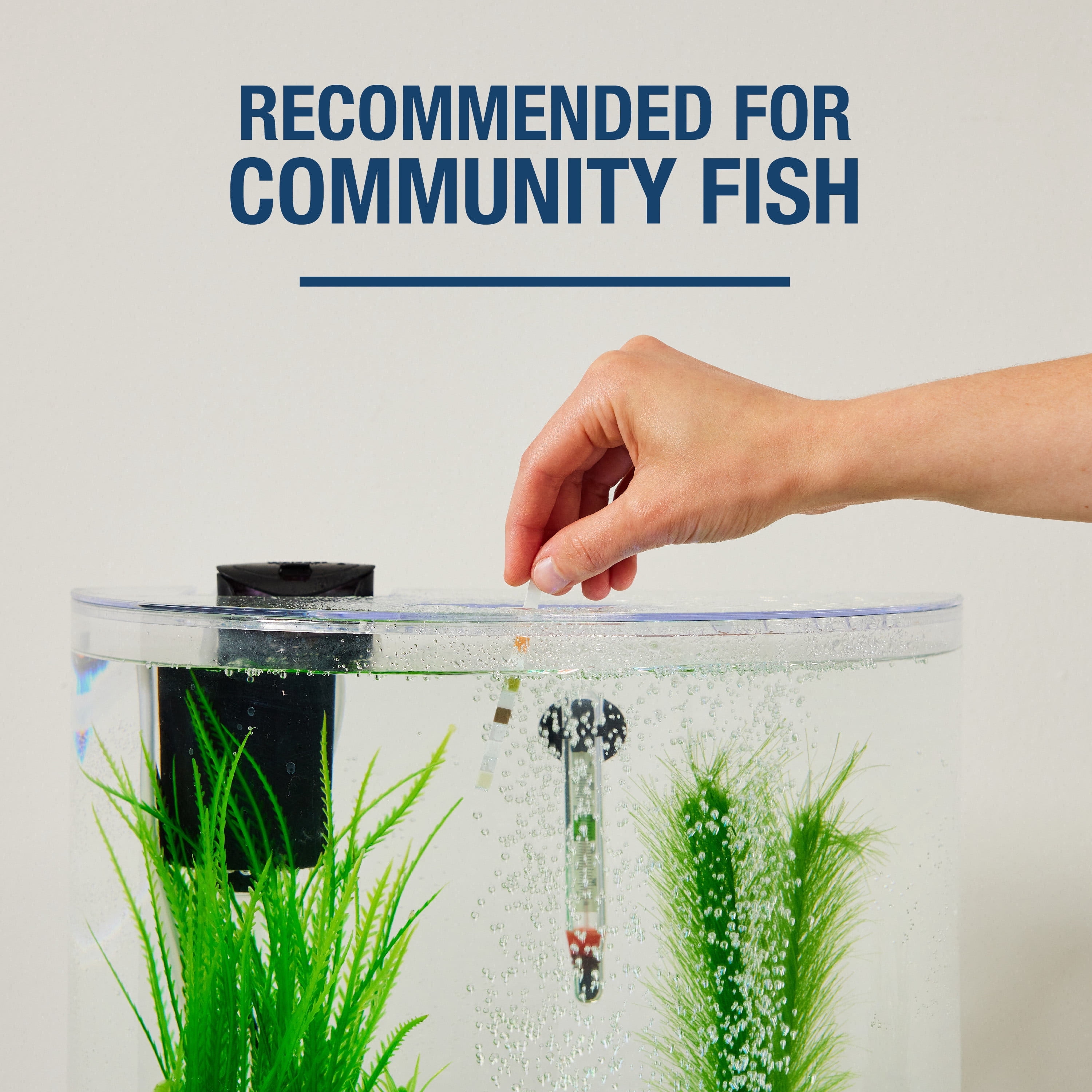Tetra STEM 3 Gallon Aquarium Kit with Hands-On Activity Guide for Kids