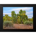 thumbnail image 2 of Fitzharris, Tim 14x11 Black Modern Framed Museum Art Print Titled - Riverine Forest-Dead Horse Ranch State Park-Arizona, 2 of 5