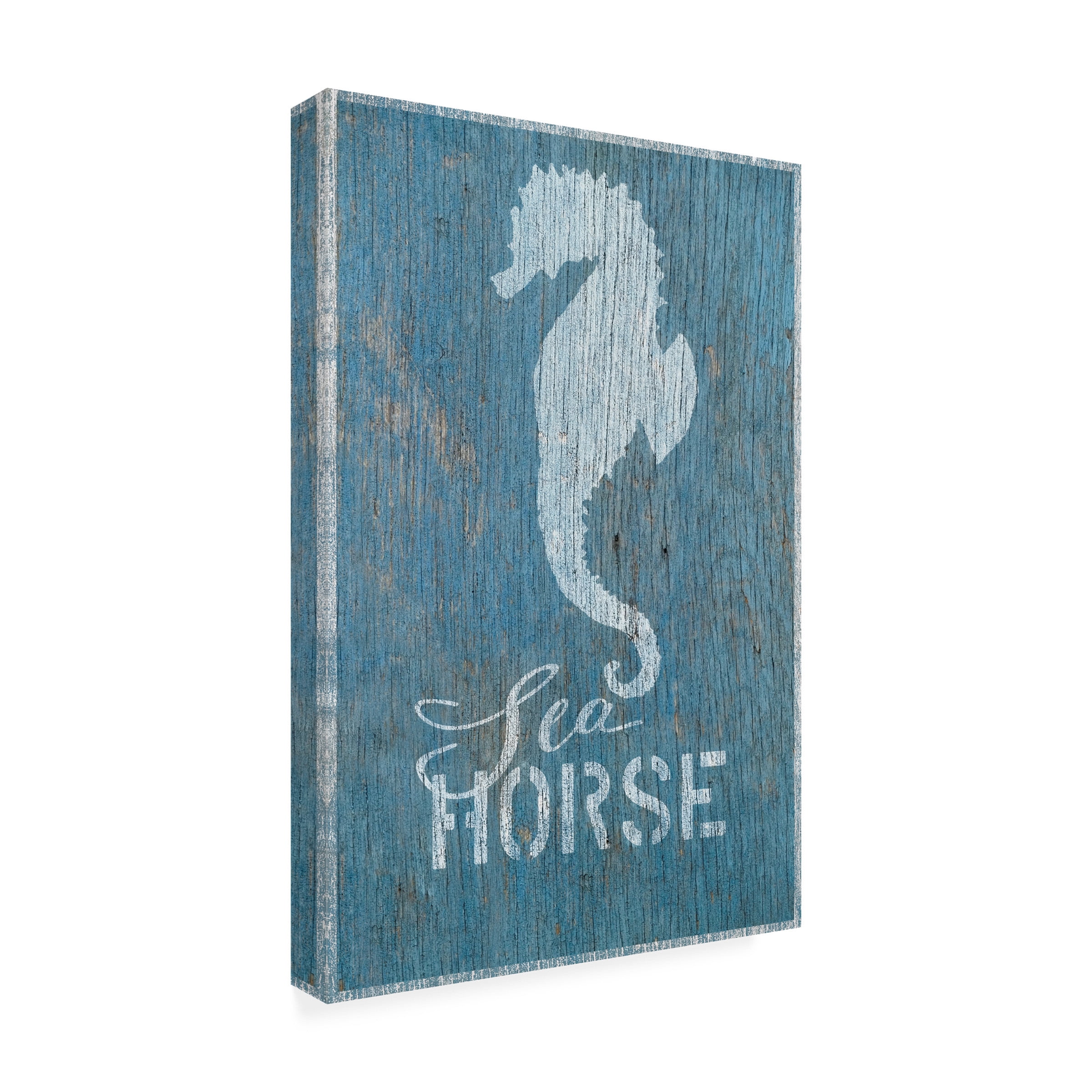 Cora Niele 'Seahorse on Blue Wood 2' Canvas Art