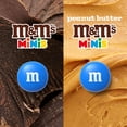 thumbnail image 2 of M&M's Mixed Minis Candy Fun Size Variety pack, Party Size, 2 of 11
