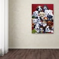 thumbnail image 4 of Trademark Fine Art Jenny Newland Picture Day Canvas Wall Art - 24x32, 4 of 4