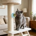 thumbnail image 5 of ZhangC Catnip Balls Cat, 360° Rotatable Catnip Wall Ball, Cat Nips Interactive Balls for Licking Boredom Relief Anxiety, Play Chew Teeth Cleaning for Indoor(Gray), 5 of 6