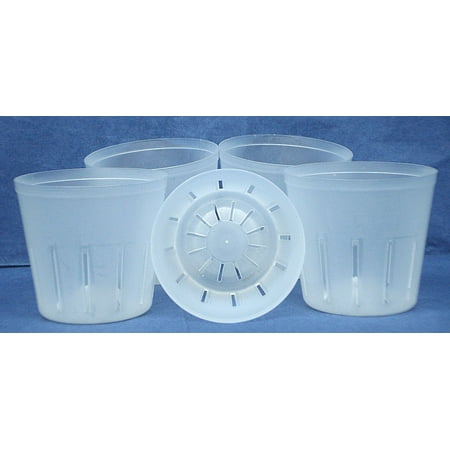 Clear Plastic Pot for Orchids 3 inch Diameter - Quantity