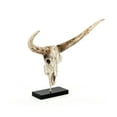 thumbnail image 3 of Zentique SHI010 Bull Skull with Base- 27 x 23.5 x 12 in., 3 of 3