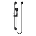 thumbnail image 1 of Pfister LG16-3RHB Rhen Hand Held Shower with Slide Bar, Matte Black, 1 of 1