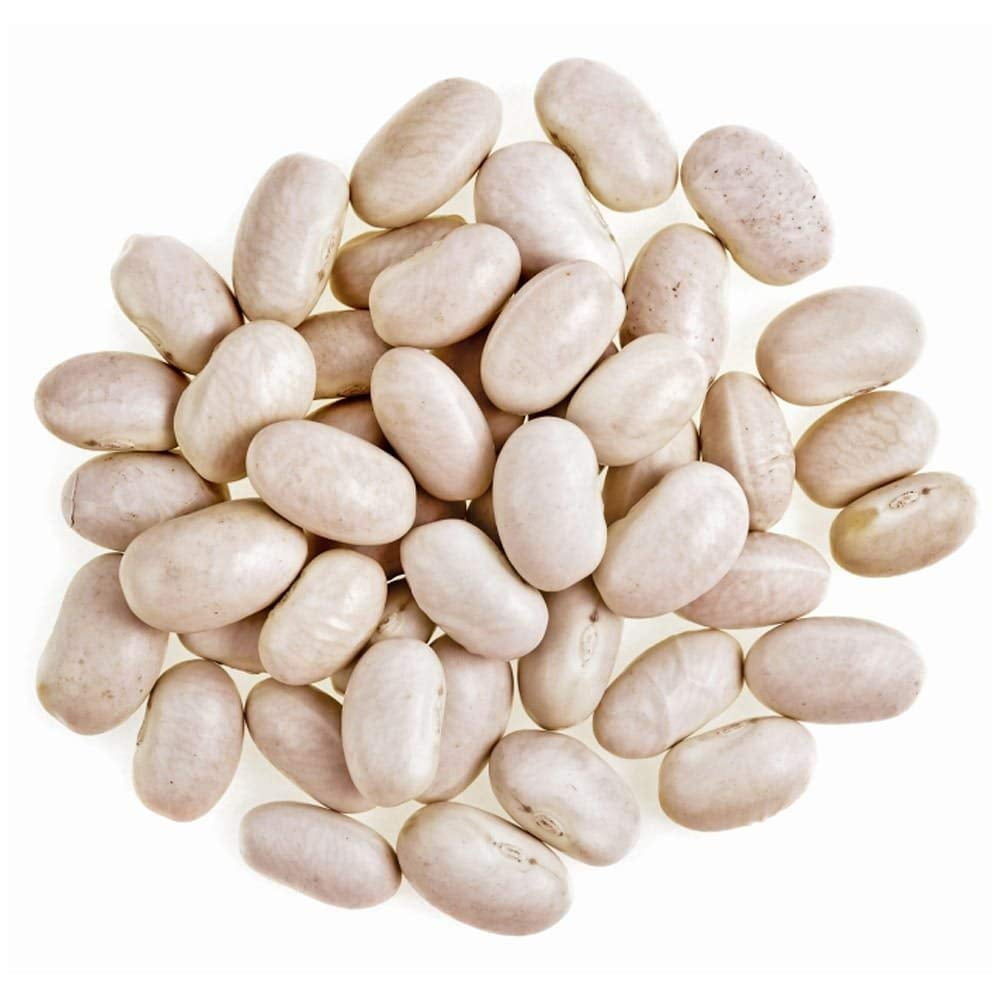 Organic Great Northern Beans, 20 Pounds Dried, NonGMO, Kosher, Raw