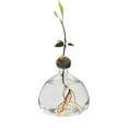 thumbnail image 1 of Hydroponic Growth Jar for Sprouting & Cultivation Unique Container for Nurturing Saplings From Kernels Ideal for Indoor Horticulture, 1 of 7