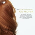 thumbnail image 6 of Dove Shampoo for Women for Women Volume & Fullness with Bio-Protein Care Technology and Biotin, 18 fl oz, 6 of 15