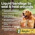 Happy Jack® Liquid Bandage Spray for Pets (4 oz), Waterproof