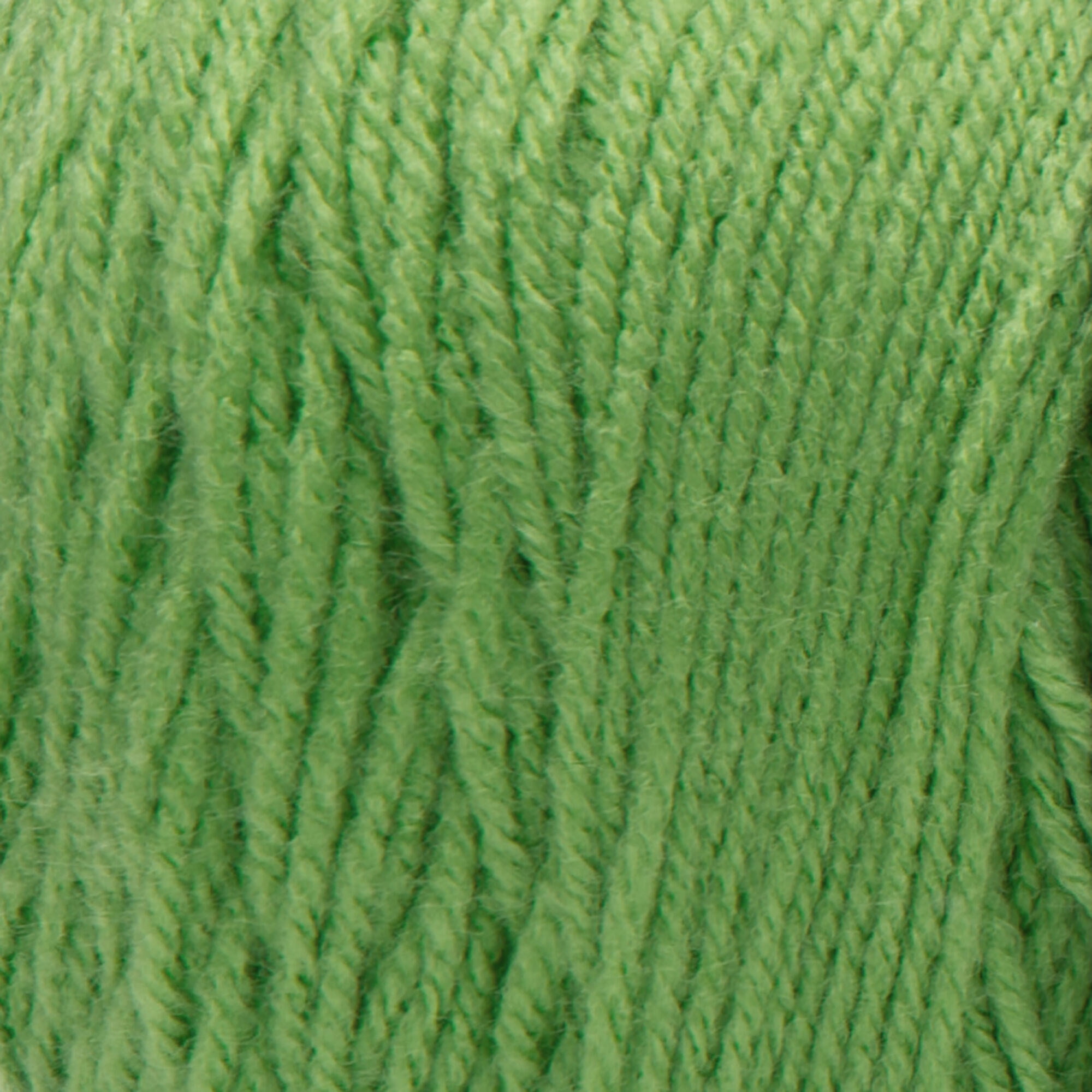 Red Heart® Super Saver Jumbo™ #4 Worsted Acrylic Yarn, Springgreen 14oz/396g 744 Yards (2 Pack)