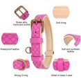 thumbnail image 3 of Basic Classic Luxury Padded Leather Dog Collar - Rust Proof Brass Lock for Large Medium Pets, 3 of 6