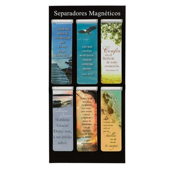 Separadores Magn'ticos Clsicos (Spanish Edition)