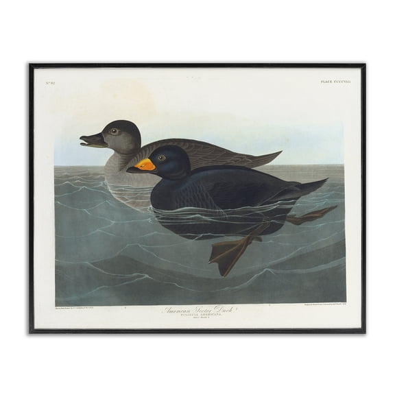 Stupell Industries Transitional Black Framed Giclee Art, 14 x 11, by one1000paintings