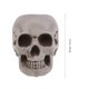 thumbnail image 3 of Calavera artificial de Halloween, adorno de calavera asustada, accesorios para casa de fantasmas, suministros para fiestas (3), 3 of 7
