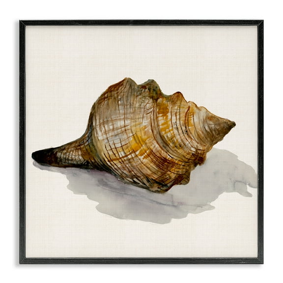 Stupell Industries Conch Shell on Beige Nautical & Beach Painting Black Framed Art Print Wall Art, 12 x 12