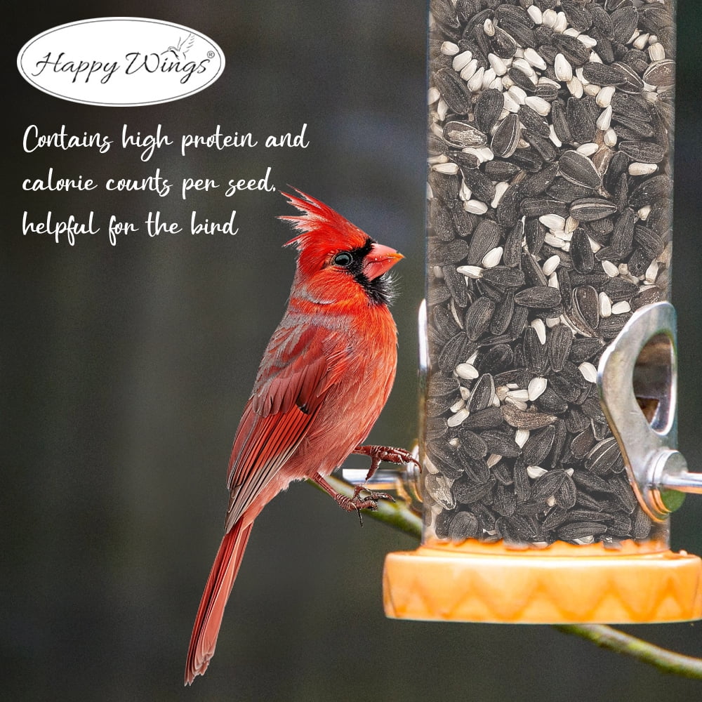 Happy Wings Cardinal Blend Bird Food, Mix of Sunflower Hearts/Kernels &Safflower Seed, 4 lb, No Grow Seed | Birdseed for Wild Birds | 2 Pack