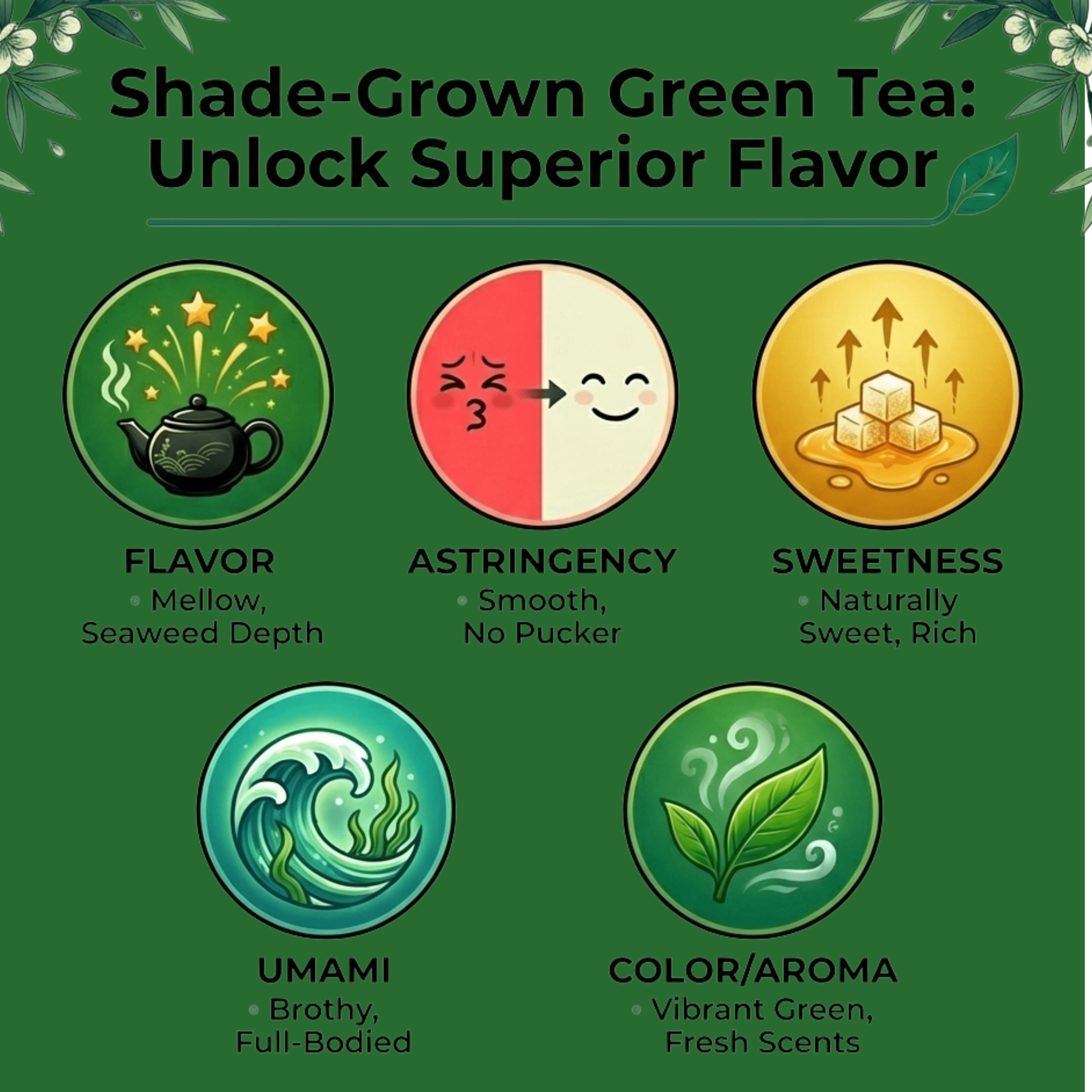 Kabusecha - Shade Grown Green Tea from Yame, Japan