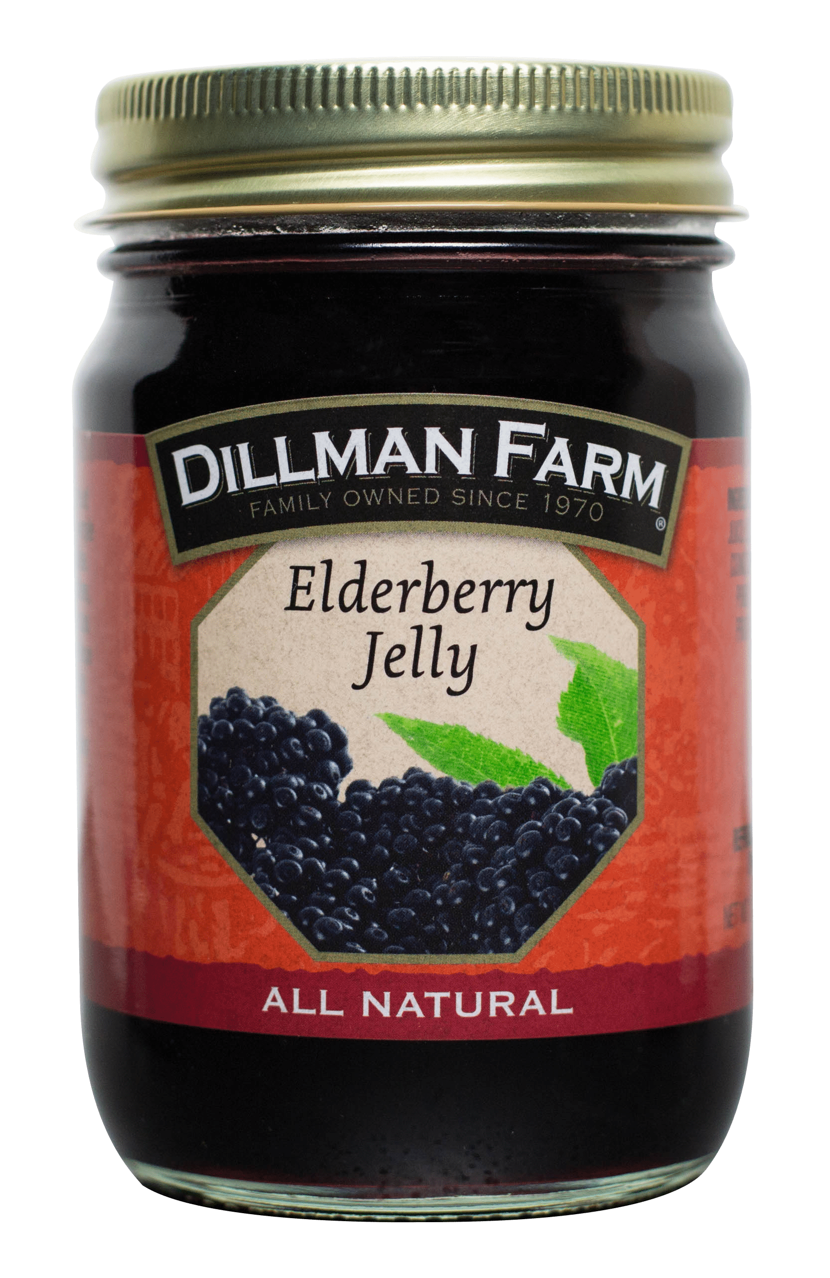 Elderberry Jelly