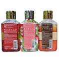 Hempz Holiday Limited Edition Mini Scents Body Lotions (3 pack