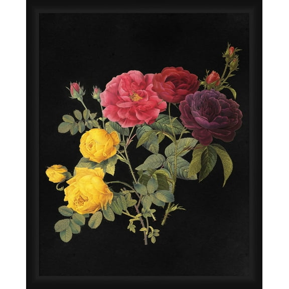 PTM Images Graphic Prints Flowers Framed Art Prints