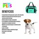 thumbnail image 3 of Mochila Transportadora Gato Perro Economica Mediana Fancy Pets Mochila, 3 of 3