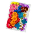 thumbnail image 3 of Cabeza de Flores SECAS, Flores SECAS Naturales 36 Piezas Estilos Surtidos Duraderos para la Artesanía, 3 of 8