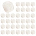 thumbnail image 1 of 80 Conchas de Vieira Naturales de 1,4 A 2,4 Pulgadas, Pequeñas Conchas de Mar Blancas para Manualidades, Conchas de Mar Reales A Granel, 1 of 5