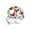 Multi 4, variant on Rooster Hen Chicken Pattern Stainless Steel Rings for Women, Open Adjustable Ring Promise Ring Jewelry Gifts