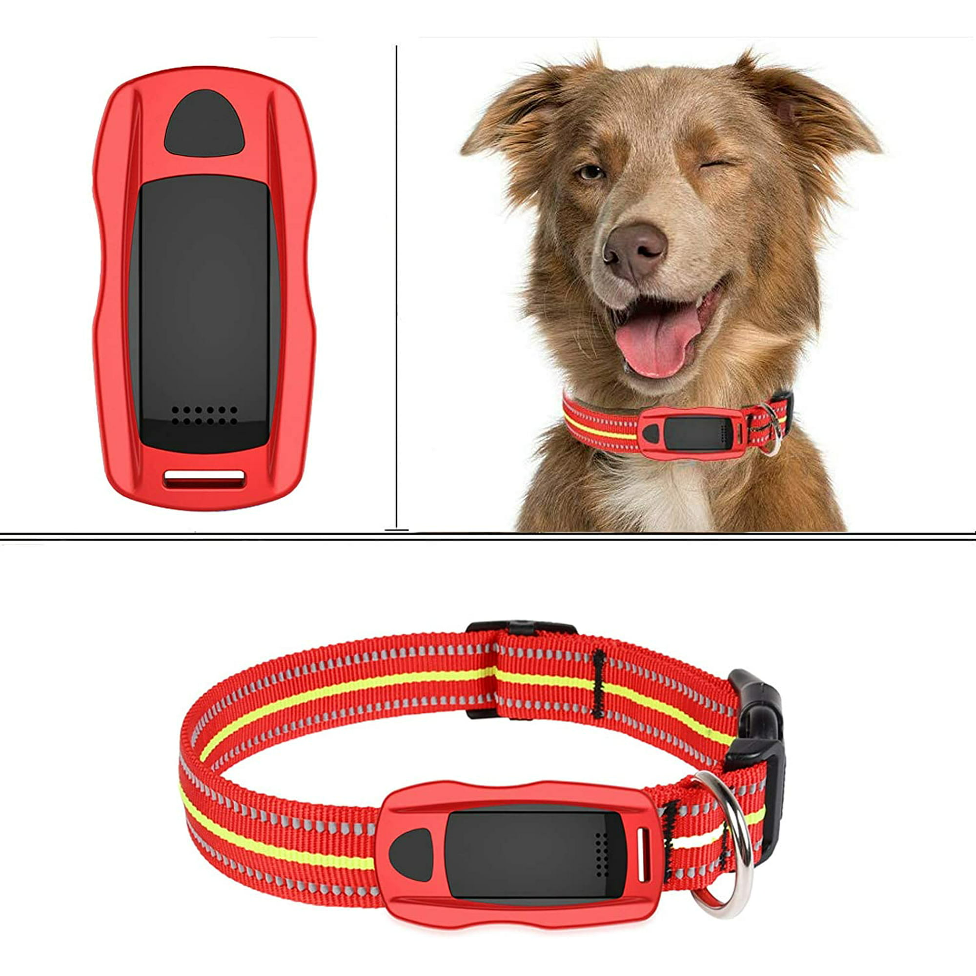 Dyfrio Pet GPS Tracker Dog GPS Tracker and Pet Finder Waterproof Activity  Monitor Tracking Device for Dogs, Cats, Pets,Kids,Elders | Walmart Canada