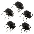 thumbnail image 2 of 5Pcs Simulation Insecte Artificiel Modèle Enfants Jouets Éducatifs Hercules Bug Jouets Scarabée, 2 of 9