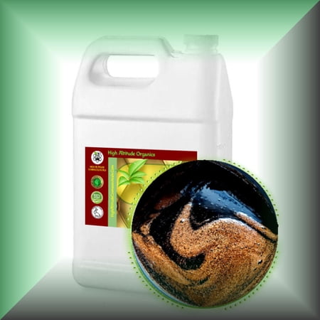 SHILAJIT Liquid - Altai Black Gold Siberian Altai Mountain Resin (10% Glycerin Extract)