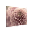 thumbnail image 2 of Canvas Wall Art - Life BeautifuLEE 'Gentle and Round' Wall Art for Living Room, Bedroom, or Office Décor by Trademark Fine Art - 32 x 24 Inches, 2 of 4
