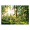thumbnail image 2 of Tiptophomedecor Peel and Stick Forest Wallpaper Wall Mural - Untamed Nature - Removable Wall Decals, 2 of 3