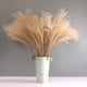 thumbnail image 5 of Hierba de Pampas seca Natural, arreglos florales, decoración de habitación Bohemia, ramo de flores para Festival, sala de , decoración de ,, 5 of 9