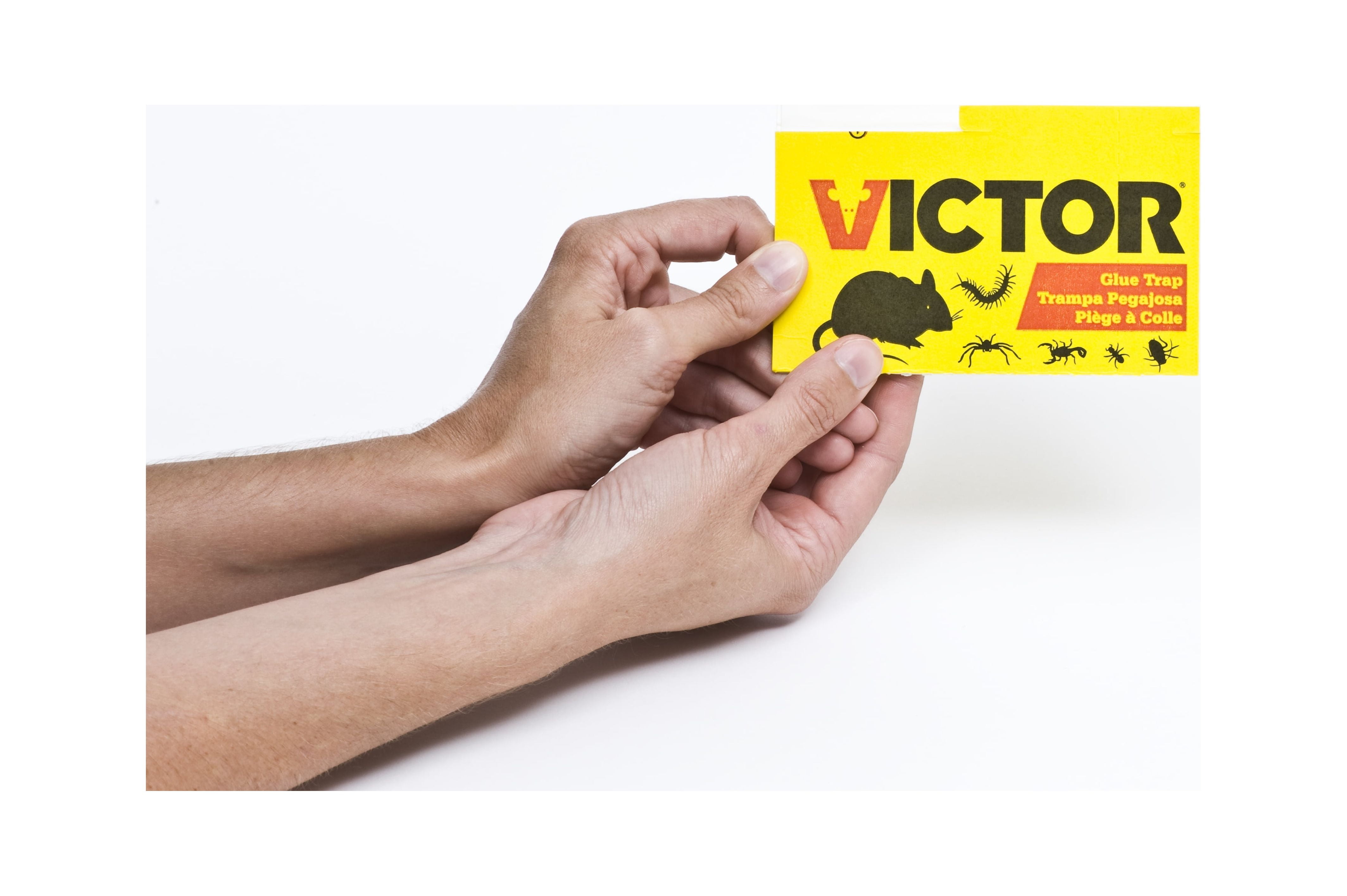 Victor® Mouse Glue Board - Bulk