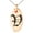 Rose, variant on Stainless Steel Letter V Initial Old English Monogram Engraved Small Oval Charm Pendant Necklace