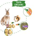 thumbnail image 4 of Lacrima Rabbit de Chew Toys, 12 unidades, para conejo, conejillo de indias y hámster, 4 of 5
