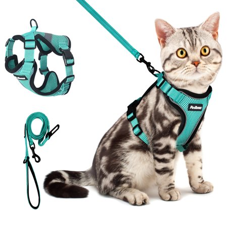 PetBonus Adjustable Cat Harness and Leash, Escape Proof Breathable Pet Vest Harnesses for Walking, Easy Control Reflective Leash and Harness Set Jacket for Cats, Kitten, Kitty (Turquoise, X-Small)