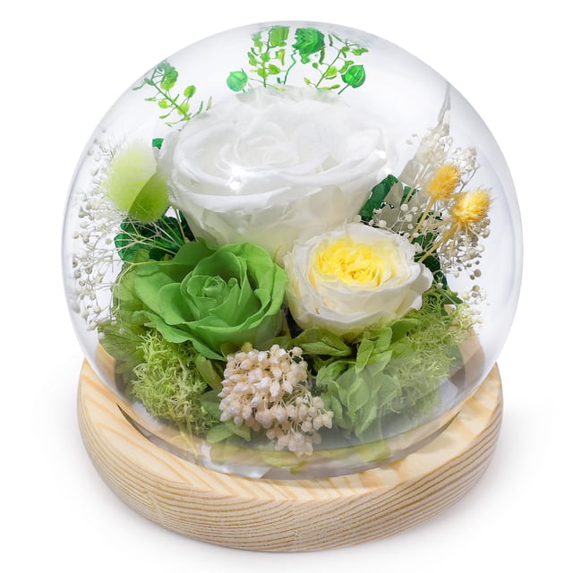 Rosa preservada FIACO para regalo, 12 x 12 x 13 cm, flores eternas