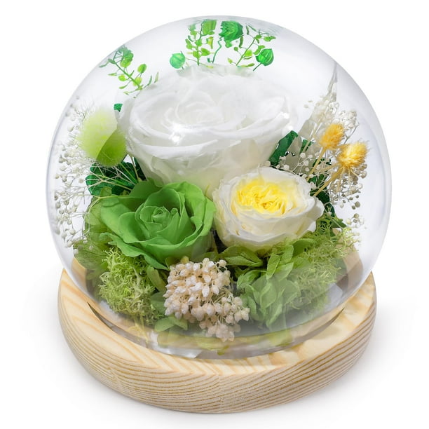 Rosa preservada FIACO para regalo, 12 x 12 x 13 cm, flores eternas