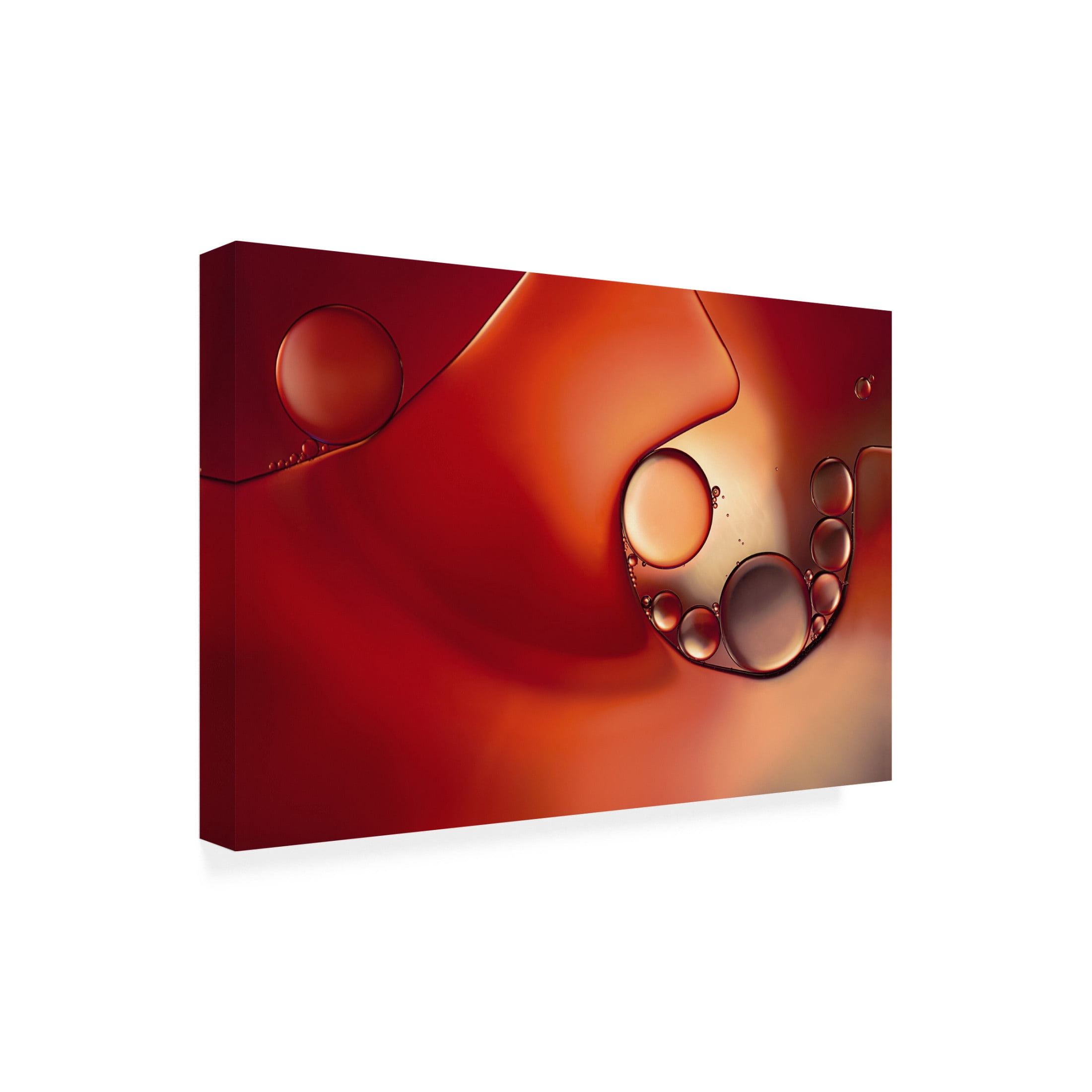 Canvas Wall Art - Heidi Westum 'Intruder In Red Ll' Wall Art for Living Room, Bedroom, or Office D?cor by Trademark Fine Art - 24 x 16 Inches