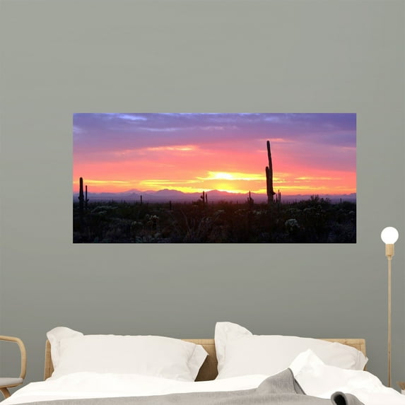 Arizona Sunset Wall Mural by Wallmonkeys Peel and Stick Graphic (48 in W x 22 in H) WM139597