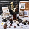 thumbnail image 4 of 32Pcs 12 Styles Wicker Rattan Balls Decorative Orbs Vase Fillers DIY for Craft Party Wedding Decoration Mixed Color 25~50mm, 4 of 7